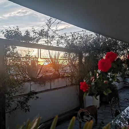 Housegardenfleming Apartament