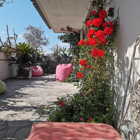 Housegardenfleming * Rzym